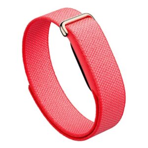 Google Fitbit Air Berry