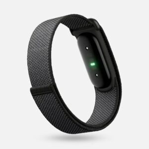 Google Fitbit Air Obsidian