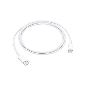 Apple 3.3 USB Type C-to-Lightning Charging Cable - White