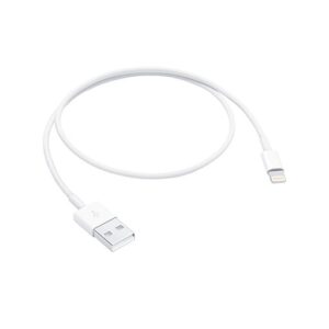 Apple Lightning to USB Cable 0.5M