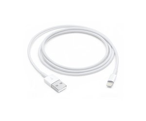 Apple Lightning to USB Cable (1M)