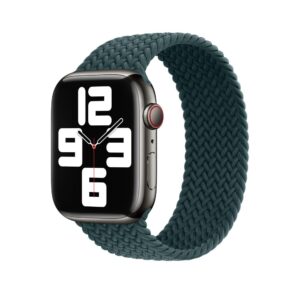 Apple Watch Braided Solo Loop 41mm Rainforest Size 1