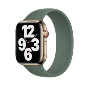 Apple Watch Solo Loop 41mm Eucalyptus Size 3