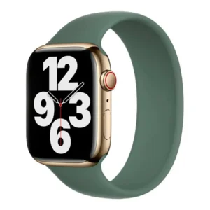 Apple Watch Solo Loop 41mm Eucalyptus Size 5