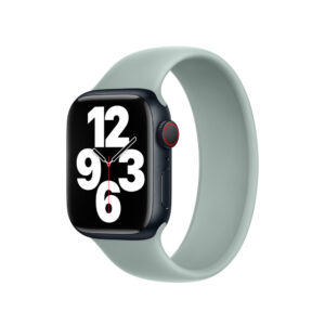 Apple Watch Solo Loop 41mm Succulent Size 1