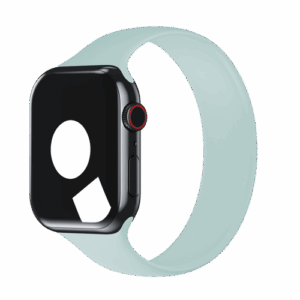 Apple Watch Solo Loop 41mm Succulent Size 5