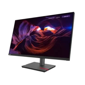 Lenovo ThinkVision P27q-30 Monitor 27  QHD (2560x1440) 75Hz IPS 6ms 350 cd/m² HDR 1000:1 2xDP (1.4) 1xHDMI (2.1) USB Hub 16:9 RAVEN BLACK NO STAND